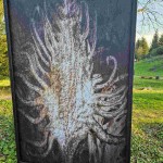 Fotografia przyrodnicza Leszka Szurkowskiego